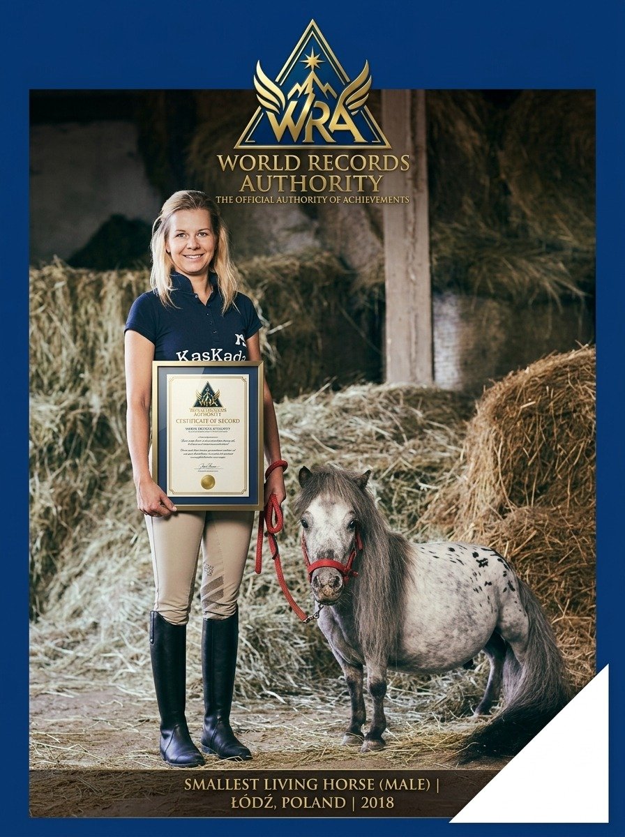 Bombel – Smallest Living Horse (Male)