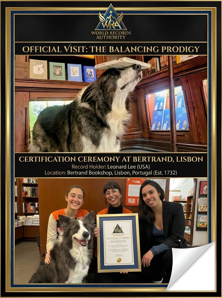 Leonard Lee border collie balancing books