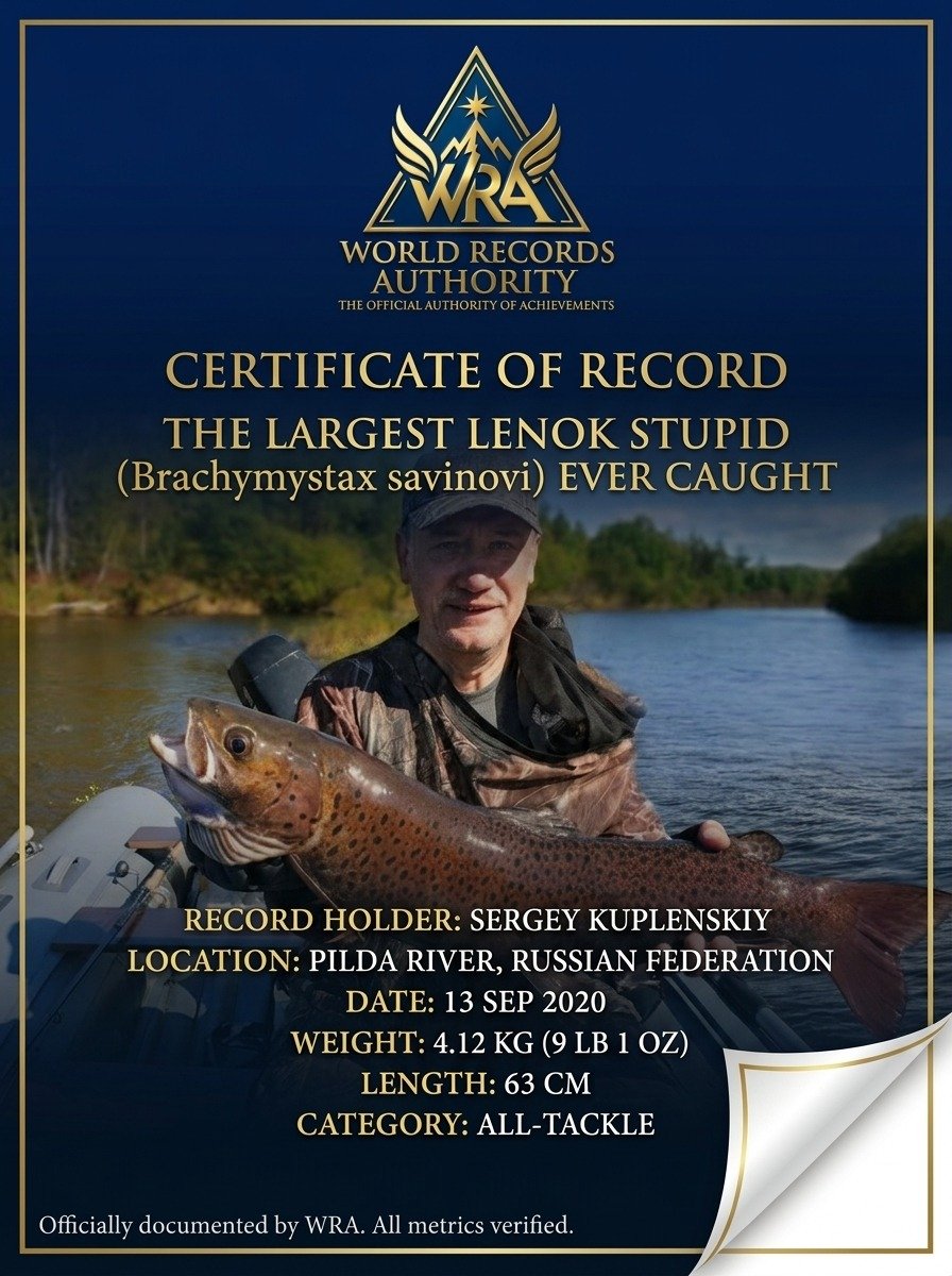 The Largest Lenok (Brachymystax savinovi) Ever Caught